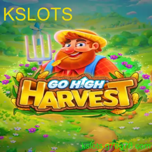 Descobrindo o Mundo Maravilhoso de GoHighHarvest